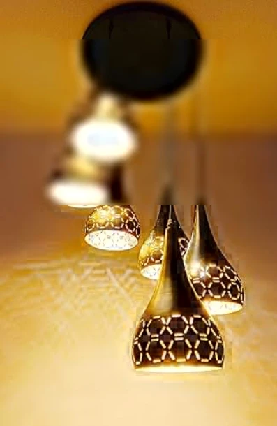 Pendants Ceiling Lamp